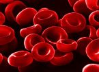 La production de globules rouges est pour bient�t