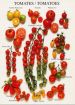 Hold-up sur les semences potag�res !