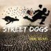 STREET DOGS - Chiens des rues
