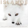 Lveil de la nature islandaise