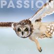 Les oiseaux par passion
