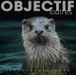Loutre un jour, loutre toujours